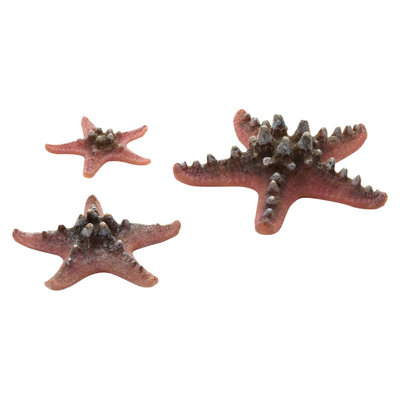 biOrb Starfish Set Aquarium Sculptures - Pink