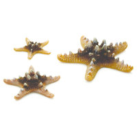 biOrb Starfish Set Aquarium Sculptures - Natural