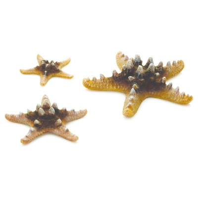 biOrb Starfish Set Aquarium Sculptures - Natural