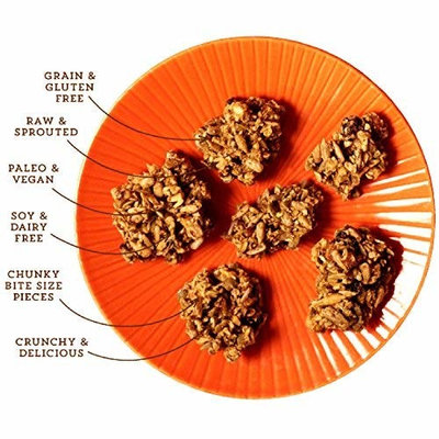Lark Ellen Farm Grain Free Paleo Granola Bites Delicious Gluten Free Certified Organic Vegan Snacks and Cereal made from Sprouted and Activated Nuts and Seeds (Vanilla Cinnamon, 1 LB)