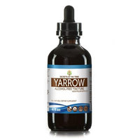 Secrets Of The Tribe Yarrow Tincture Alcohol-FREE Extract, Organic Yarrow (Achillea millefolium) Dried Leaf and Flower 4 oz