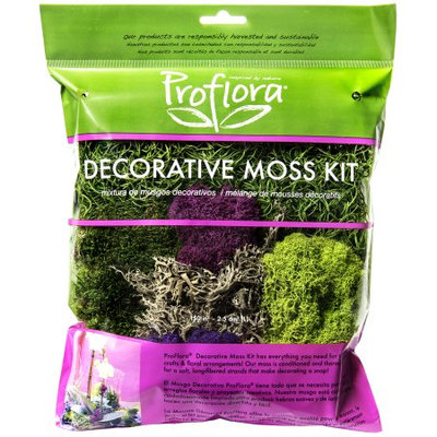 Proflora FAIRY MOSS KIT - 4oz Bag