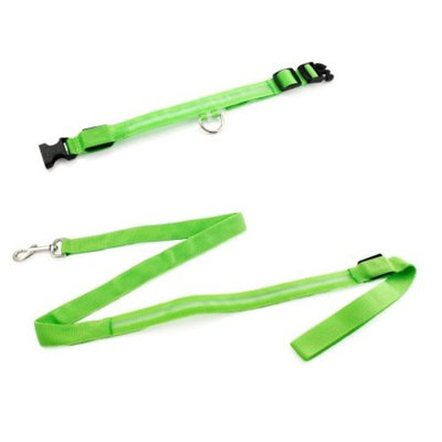 Medium LED Lights COLOR Light Up Pet Dog Night Safety Waterproof Nylon Neck Adjustable Collar + Leash Bundle