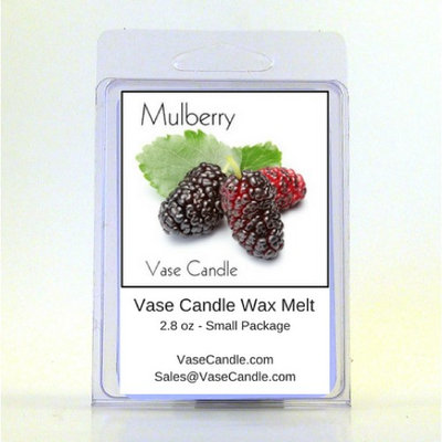 2 Mulberry Vase Candle Melts 2.8 oz Premium Highly Scented Soy Paraffin Wax Tarts 50 Hours (Pack of 2)