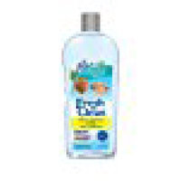Pbi/gordon Corporation Fresh n Clean Odor Control Shampoo, Mountain Air Fresh Multi-Colored