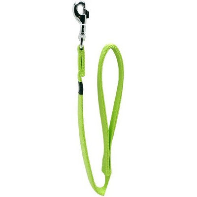 Dogit Nylon Single Ply Dog Leash with Silver Plate Bolt Snap, Medium, 5/8-Inch, Green