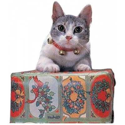 Xmas46 Rubies - Jingle Cat Collar (421) /Gadgets