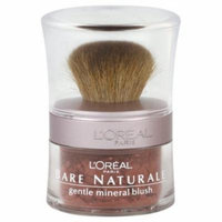 L'Oreal Paris True Match Natural Blush Sugar Plum (2-Pack)