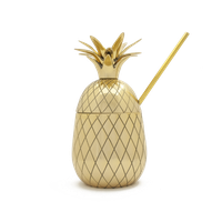 Mason Shaker Pineapple Pint Tumbler - Metallic