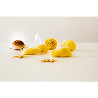 Natural Sea Tampons |5pcs| by Poseidon Sponge