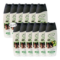 Purest Refreshing Anti-Dandruff Shampoo With Green Tea+Lemon(400ml) (Pack of 12)