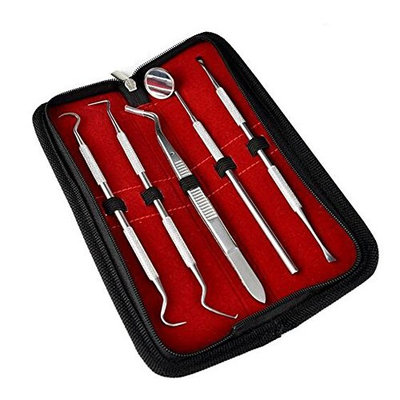 5PCS Stainless Steel Professional Dental Hygiene Oral Examination Scraper Tool Kits Remover Set Probe Cleaning Tool Remover Mouth Pick Mirror With Case