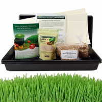 Living Whole Foods Organic Hydroponic Wheatgrass Growing Kit - Grow & Juice Wheat Grass