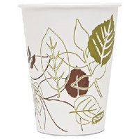 DIXIE 9PATH Pathways Polycoated Paper Cold Cups, 9 oz, 2400/Carton