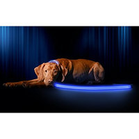 Illumiseen LED Dog Leash - USB Rechargeable - Available in 6 Colors & 2 Sizes - Makes Your Dog Visible, Safe & Seen