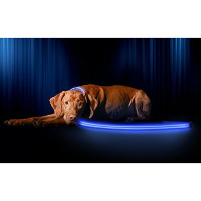 Illumiseen LED Dog Leash - USB Rechargeable - Available in 6 Colors & 2 Sizes - Makes Your Dog Visible, Safe & Seen