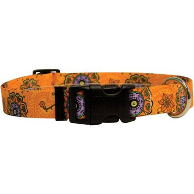 Yellow Dog Design Yellow Dog Collar Medium 14