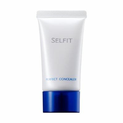 Shiseido Selfit Perfect Concealer