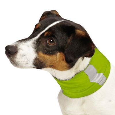 Insect Shield Repellent Dog Gaiter