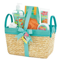 COCONUT LIME TROPICAL SPA BASKET SET