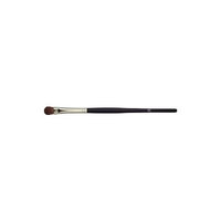 Fancl Excellent Eye Color Brush (Green Tea Set)