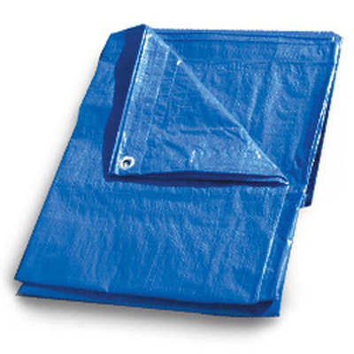 Continental Western Corporation CWC Regular-Duty Tarp - 12' x 20', Blue (Pack of 6 tarps)
