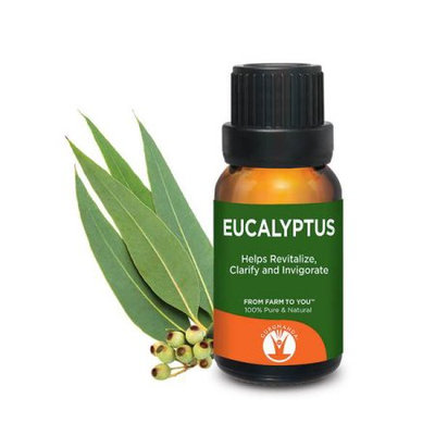 Gurunanda Eucalyptus Oil, 15 ml