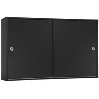 ARIA Large Shampoo Cabinet (12