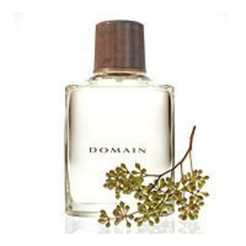Mary Kay Men's Cologne Domain