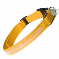 OxGord LED Light-up Pet Collar Small Yellow