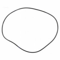 Hayward ECX2899A Bump Shaft O Ring