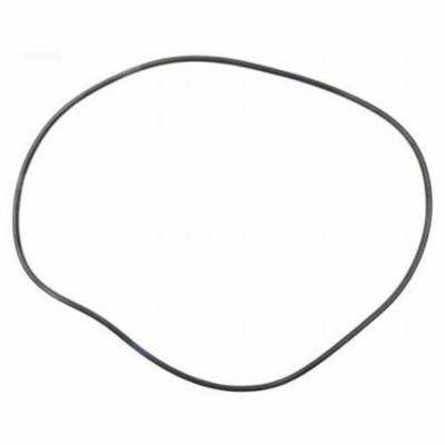 Hayward ECX2899A Bump Shaft O Ring