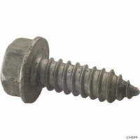 Screw, Pentair Sta-Rite, 5/16-14 x 1