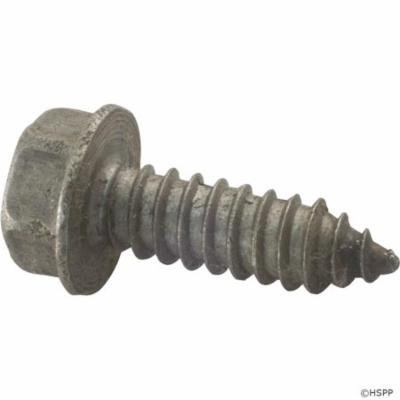 Screw, Pentair Sta-Rite, 5/16-14 x 1