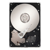 Seagate SV35.5 ST31000525SV 1TB Internal Hard Drive