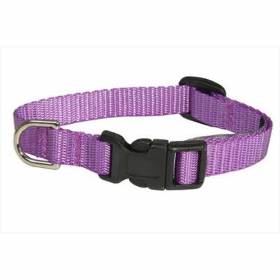 Sassy Dog Wear SOLID PURPLE XS-C Nylon Webbing Dog Collar, Purple - Extra Small