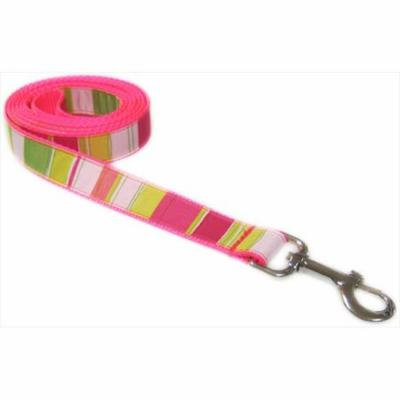 Sassy Dog Wear STRIPE-NEON PINK4-L 6 ft. Multi Stripe Dog Leash, Neon Pink - Large