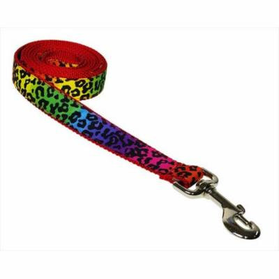 Sassy Dog Wear LEOPARD-RAINBOW4-L 6 ft. Leopard Dog Leash, Rainbow - Large