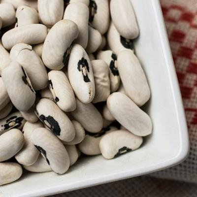 European Soldier Beans