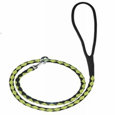 Dogline Round Braided Leather Leash W1/4