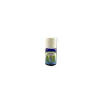 Oshadhi - Essential Oil, Spruce Black Wild, 10 ml