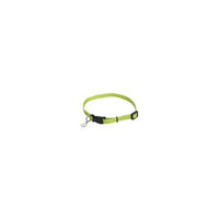 Coastal Pet Products Lil Pals 00221 LIM07 5/16 Inch Nylon Adjustable Dog Collar, 6 - 8 Inch, Lime