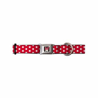 buckle-down dc-wdy090-l dybh mini minnie mouse face close dog collar, large 15-26