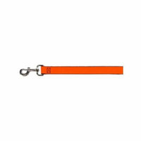 Bright Orange Fun Cheerful Fun Animal Pet Dog Cat Leash