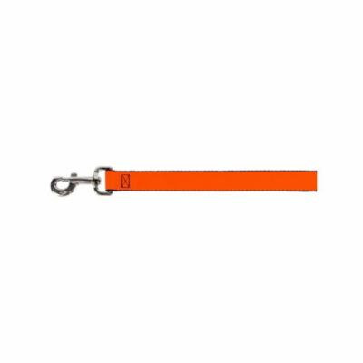 Bright Orange Fun Cheerful Fun Animal Pet Dog Cat Leash