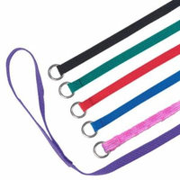 Slip Leads, Kennel Leads with O Ring for Dog Pet Animal Control Grooming, Shelter, Rescues, Vet, Veterinarian, Doggy Daycare - 4 foot Length x 1/2 inch Width, by Downtown Pet Supply (12 Pack)