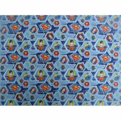 Dog Collar Bandanas D091M Superman Artic Warrior Mini Dog Collar Bandana