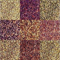 E.C. Kraus Specialty Grains Size Vienna Malt