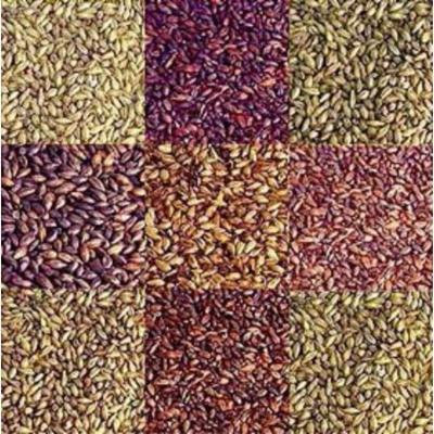 E.C. Kraus Specialty Grains Size Vienna Malt