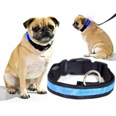 Biltek Blue LED Light Dog Collar - Large - Dog Pet Night Safety Fashionable Flashing Light Up Collar Nylon Large Adjustable